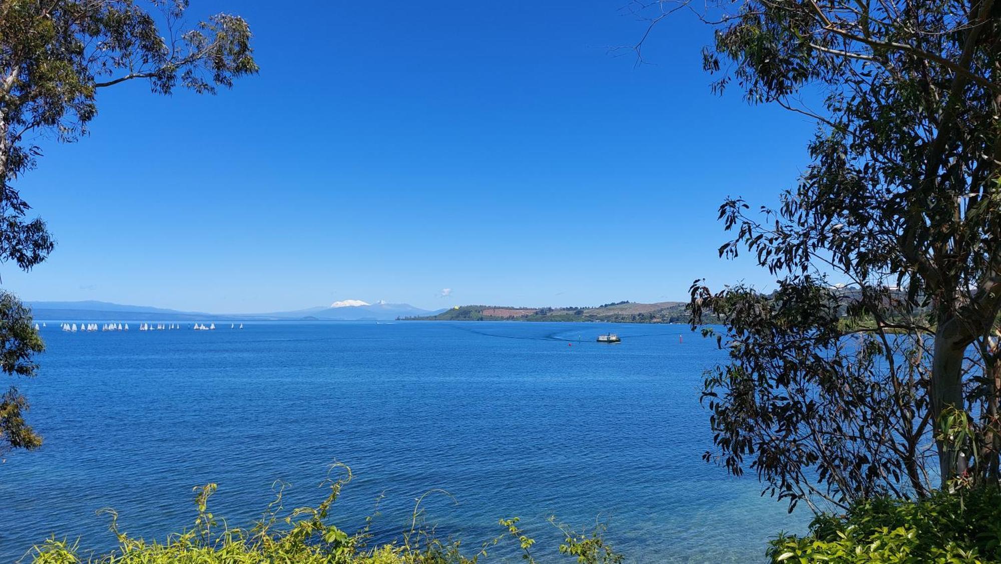 Bed And Breakfast Happy Home Taupo Accommodation Exteriér fotografie